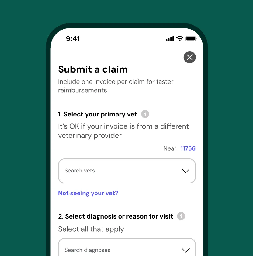 How pet insurance reimbursement works in 3 easy steps