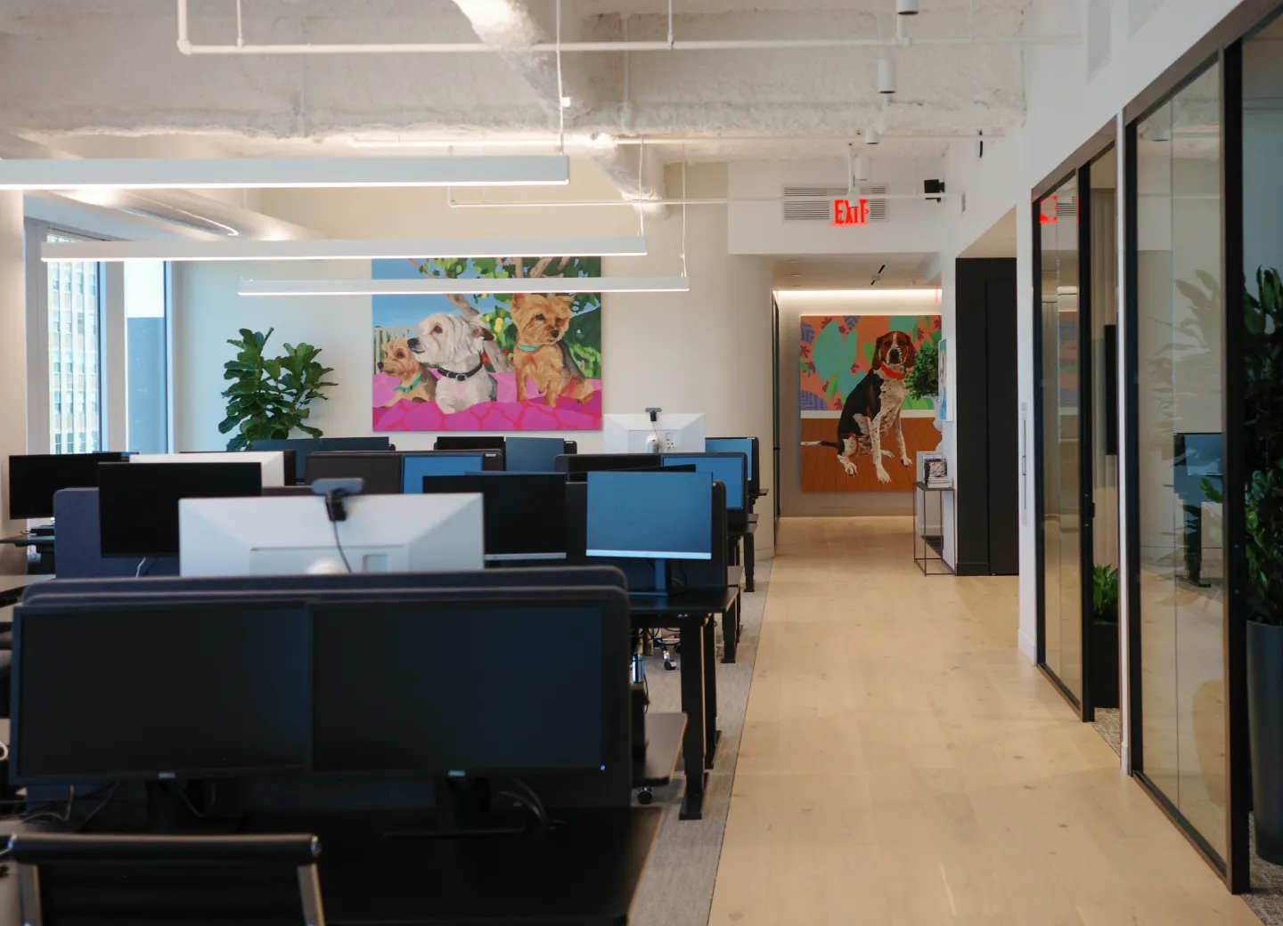Fetch Pet's New York City office