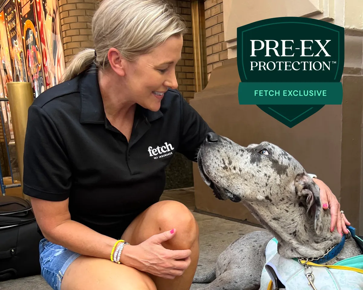 Fetch Pet Insurance offers Pre-Ex Protection for shelter and rescue pets.