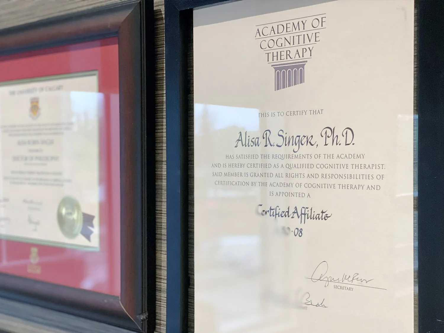 Dr Alisa Singer PH.D. degree