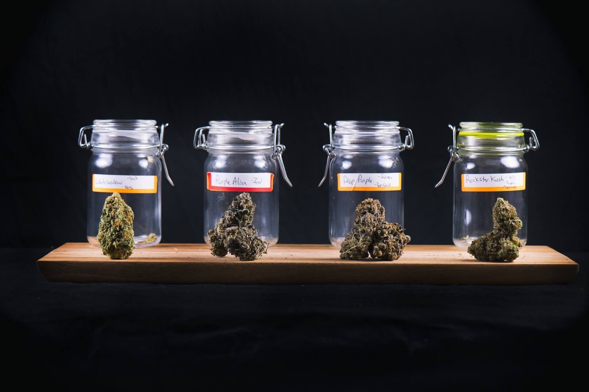 marijuana dispensary jars