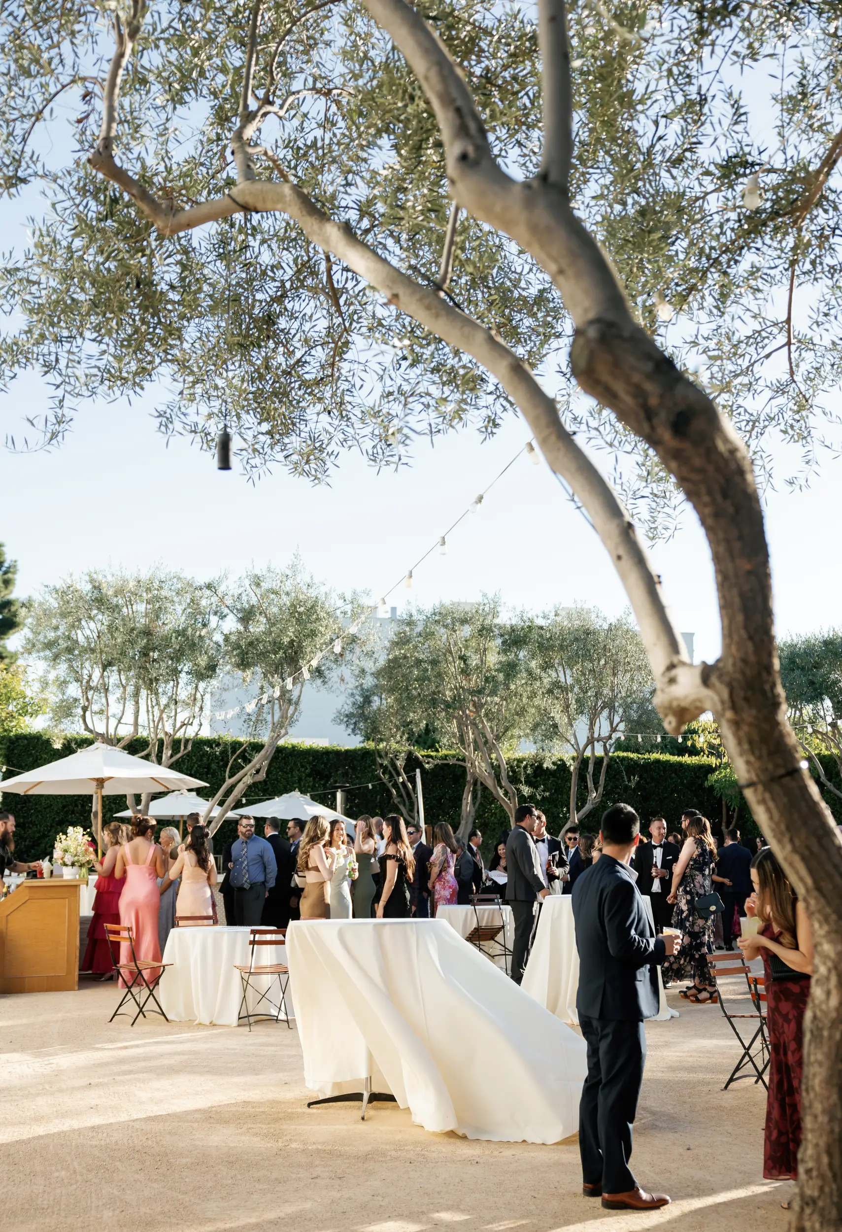 Outdoor wedding cocktail hour.