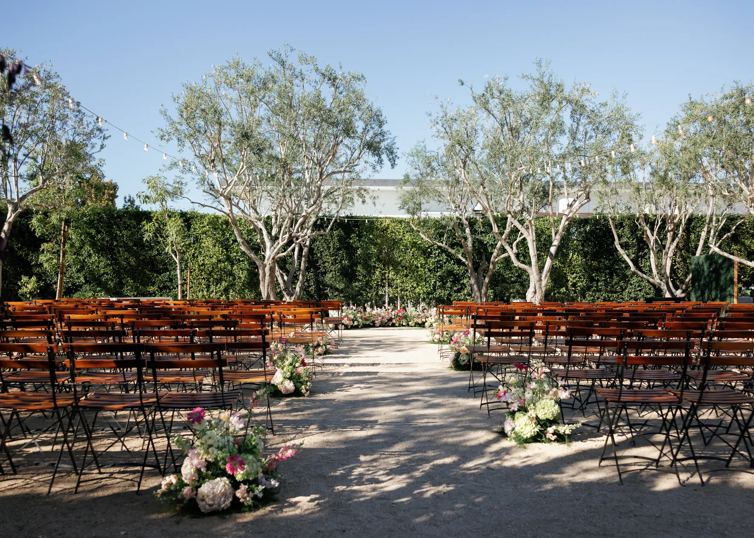 Outdoor olive grove wedding ceremony.