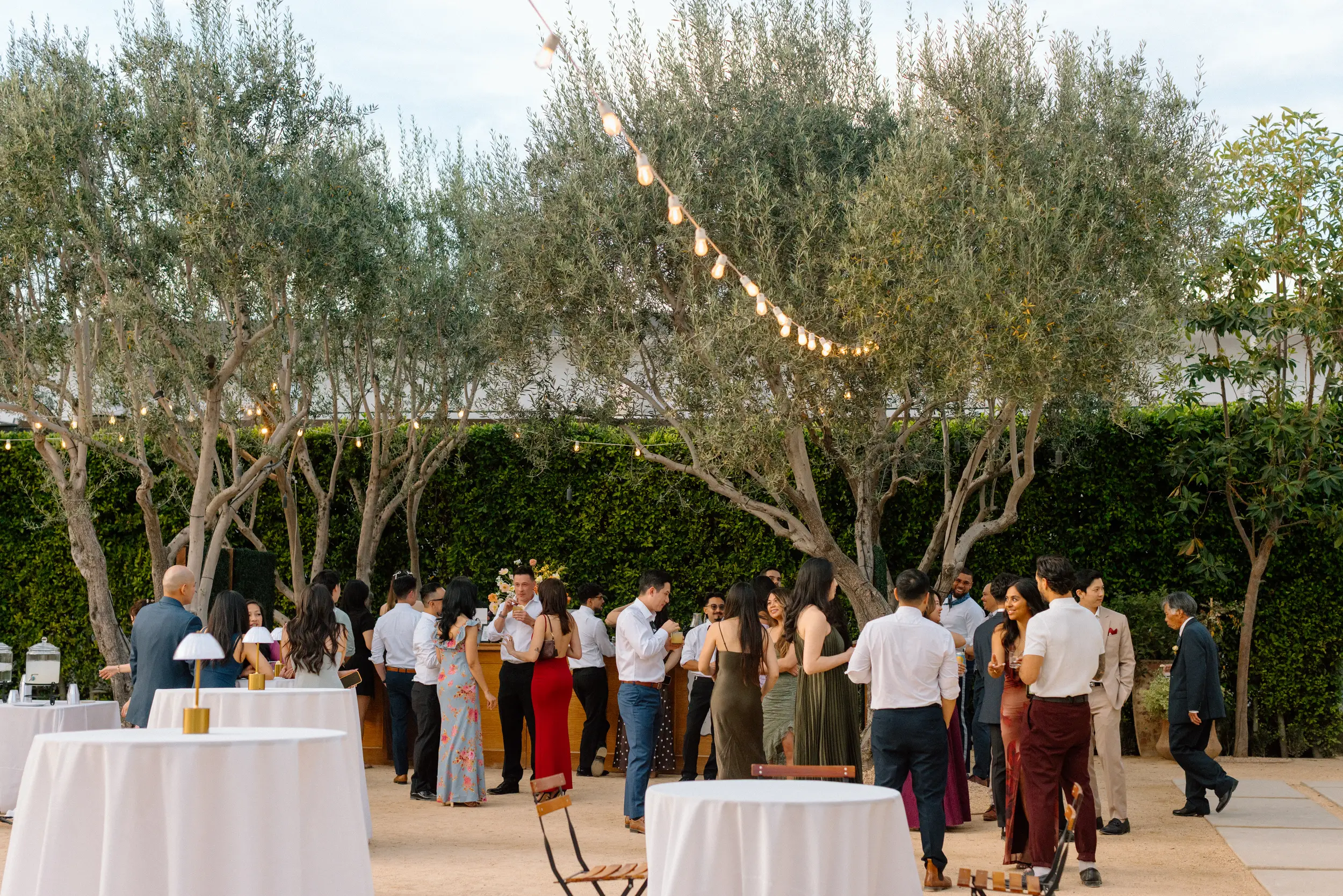 Cocktail hour in the Grand Gimeno Olive Grove.