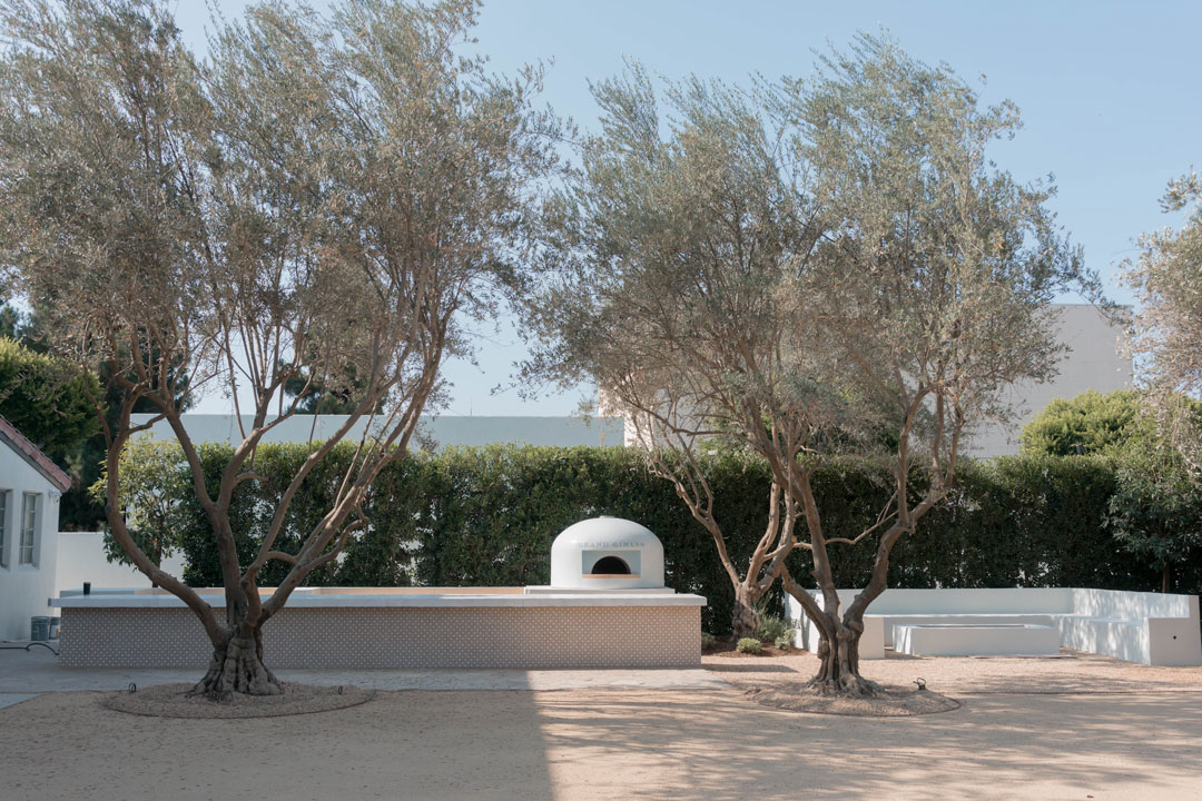 White wood-fired oven beneath olive trees.