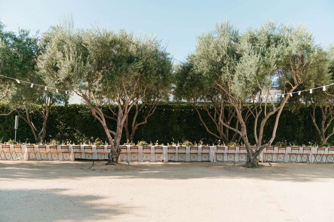 Introducing Our Gatherings Packages: Intimate Celebrations, Unforgettable Venues