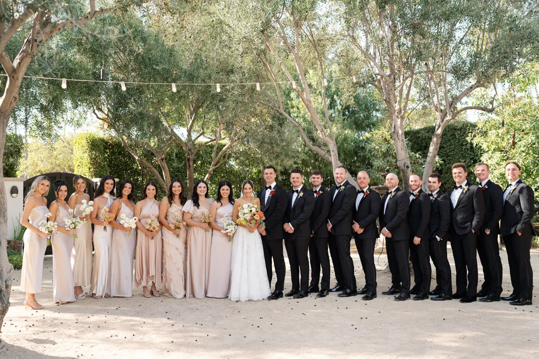 Wedding party lined up in the courtyard