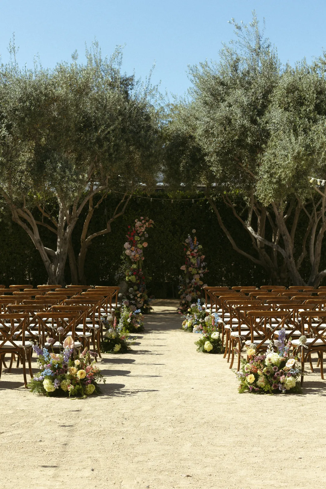Flower-lined outdoor aisle leading beneath olive trees