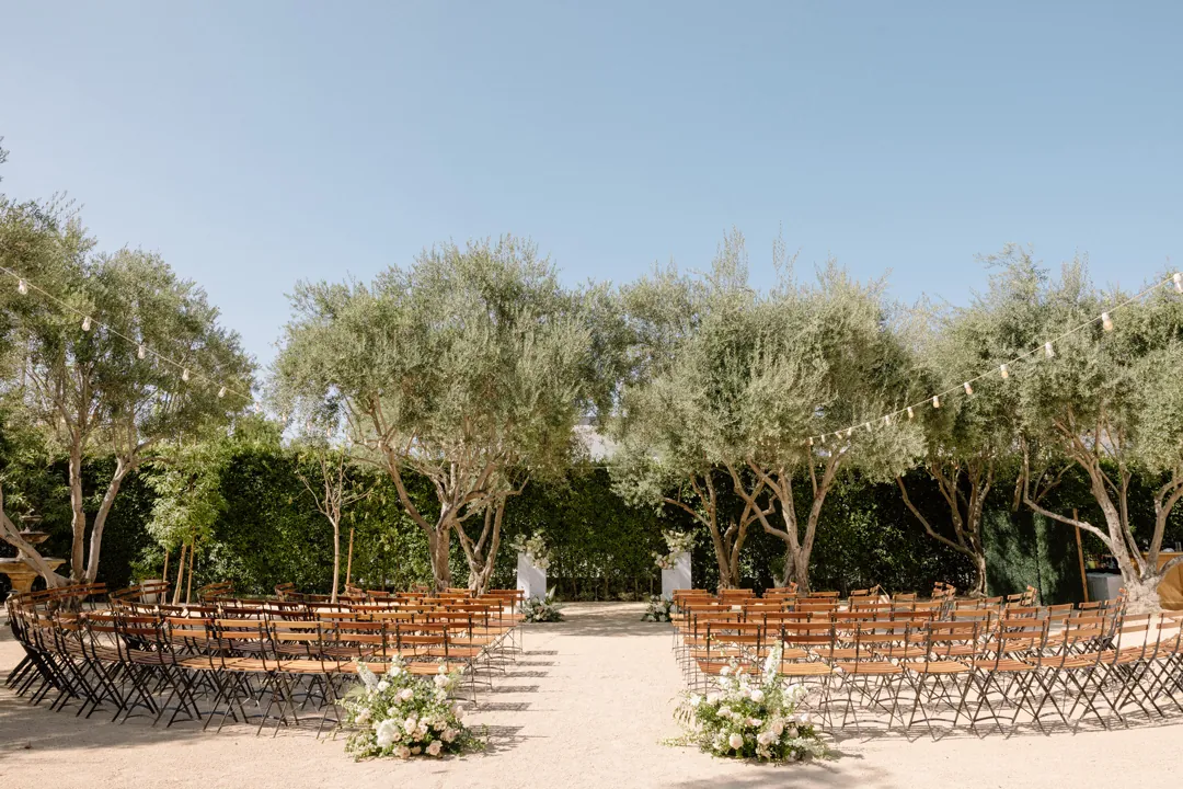Empty ceremony aisle beneath olive trees