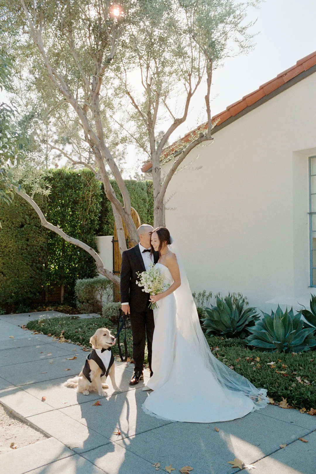 Bride and groom standing together with a dog in the courtyard