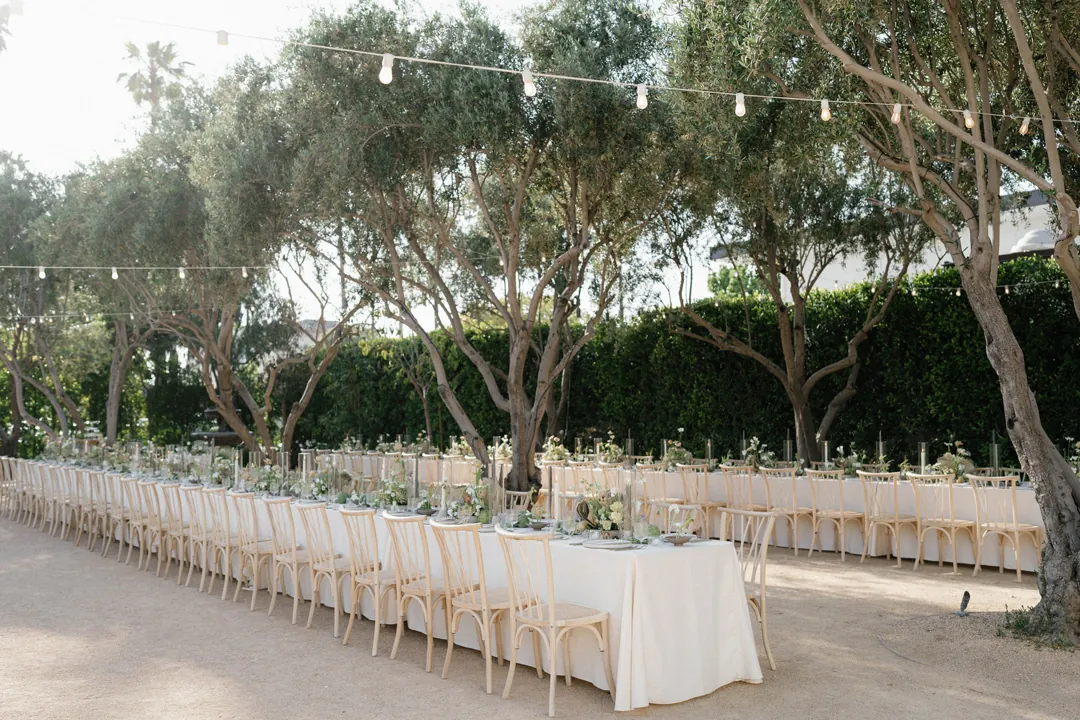 Long courtyard dining tables under olive trees and string lights