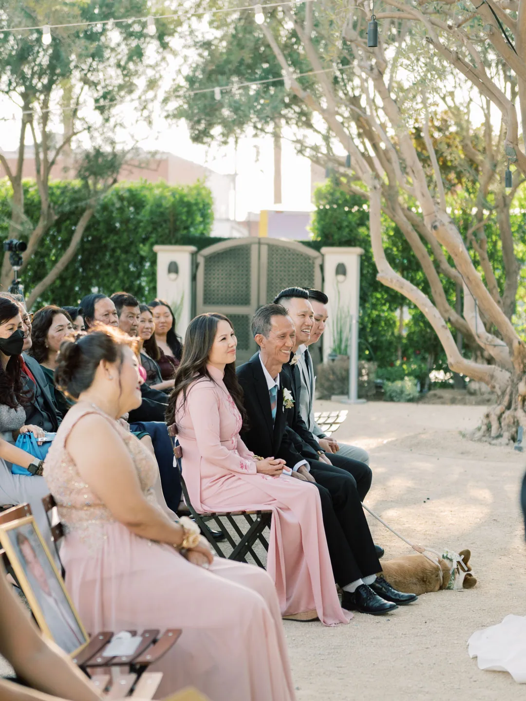 Wedding guests seated beneath courtyard olive trees