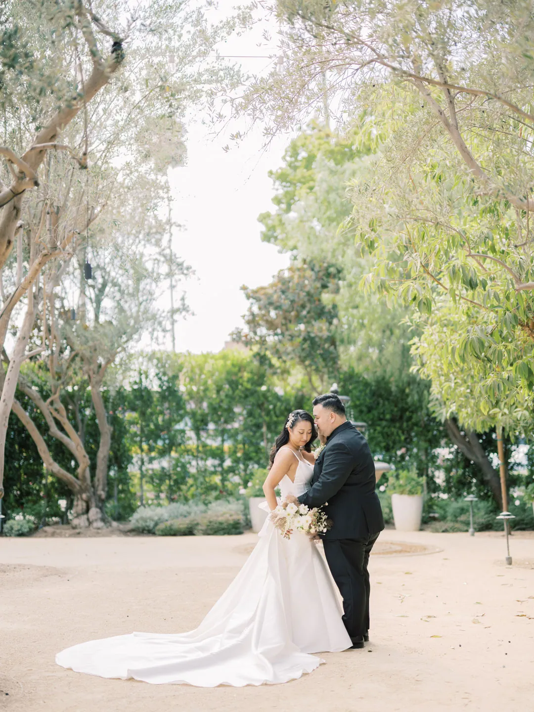 The couple embraces beneath an olive tree.