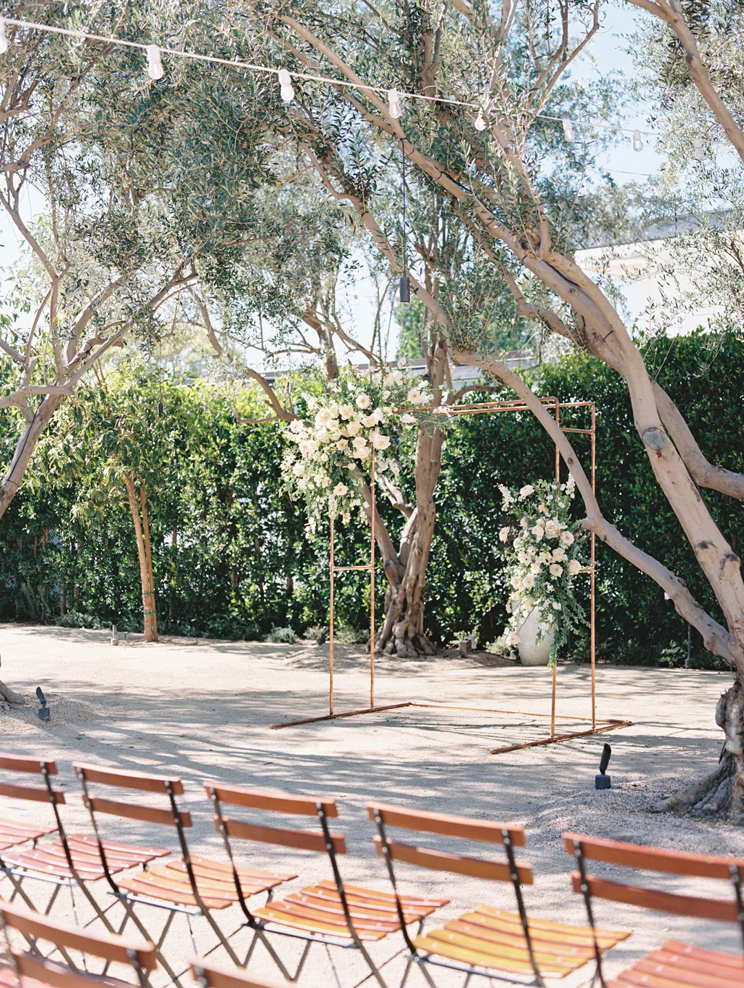 Wooden ceremony chairs beneath courtyard olive trees