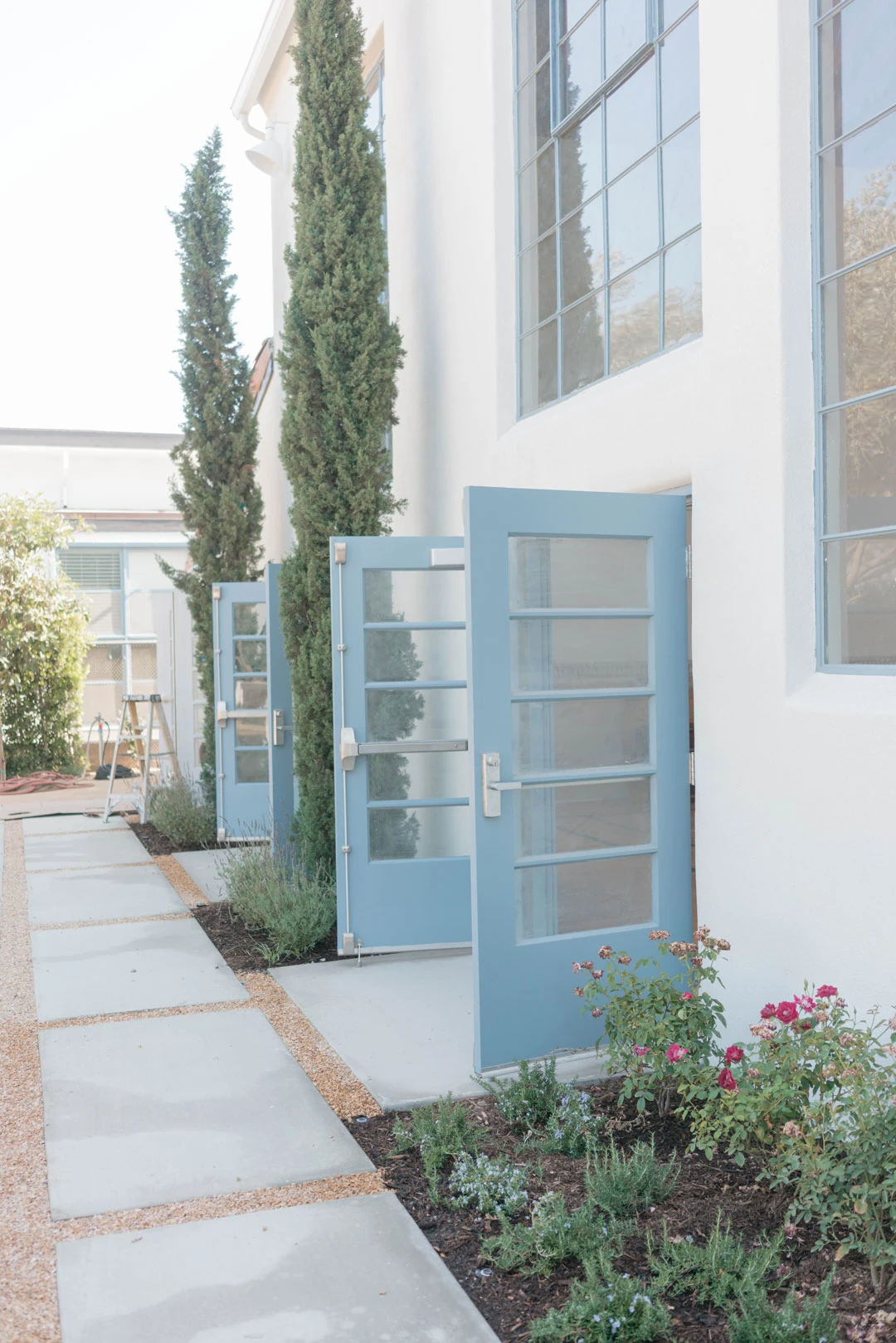 Blue doorway beside flowers and tall courtyard windows.