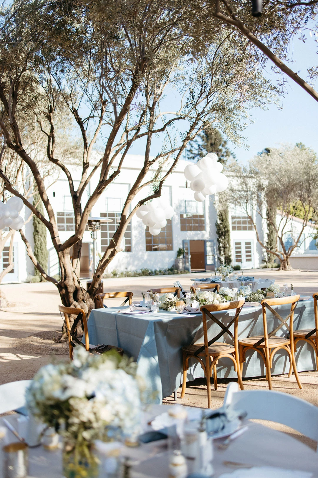 Outdoor reception table beneath olive trees.