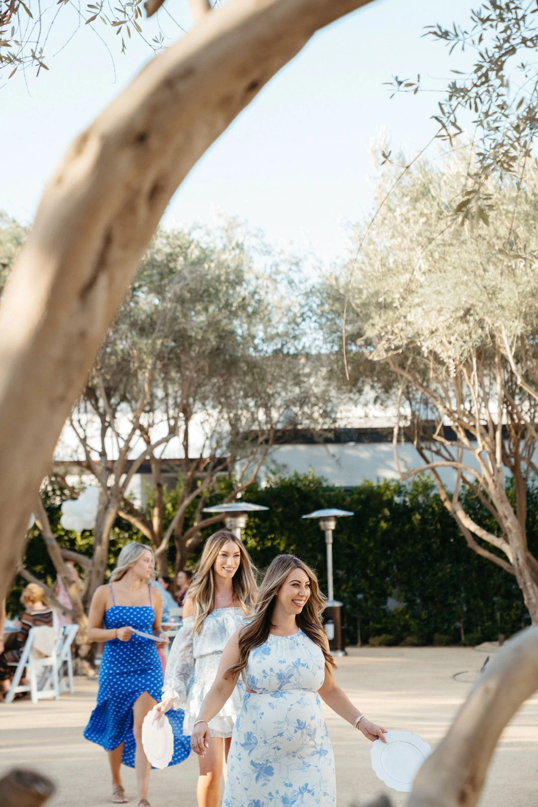 Guests walk beneath an olive tree in the courtyard.
