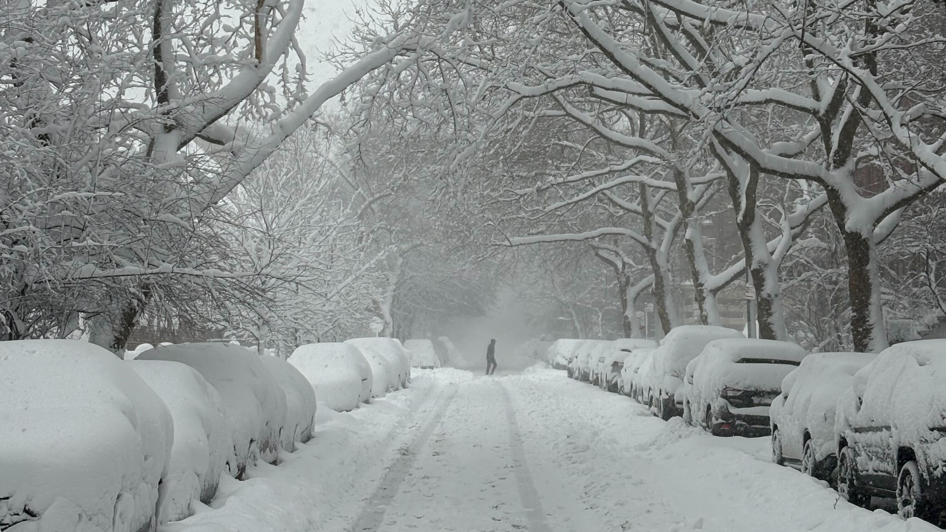 Latest News Cover Image