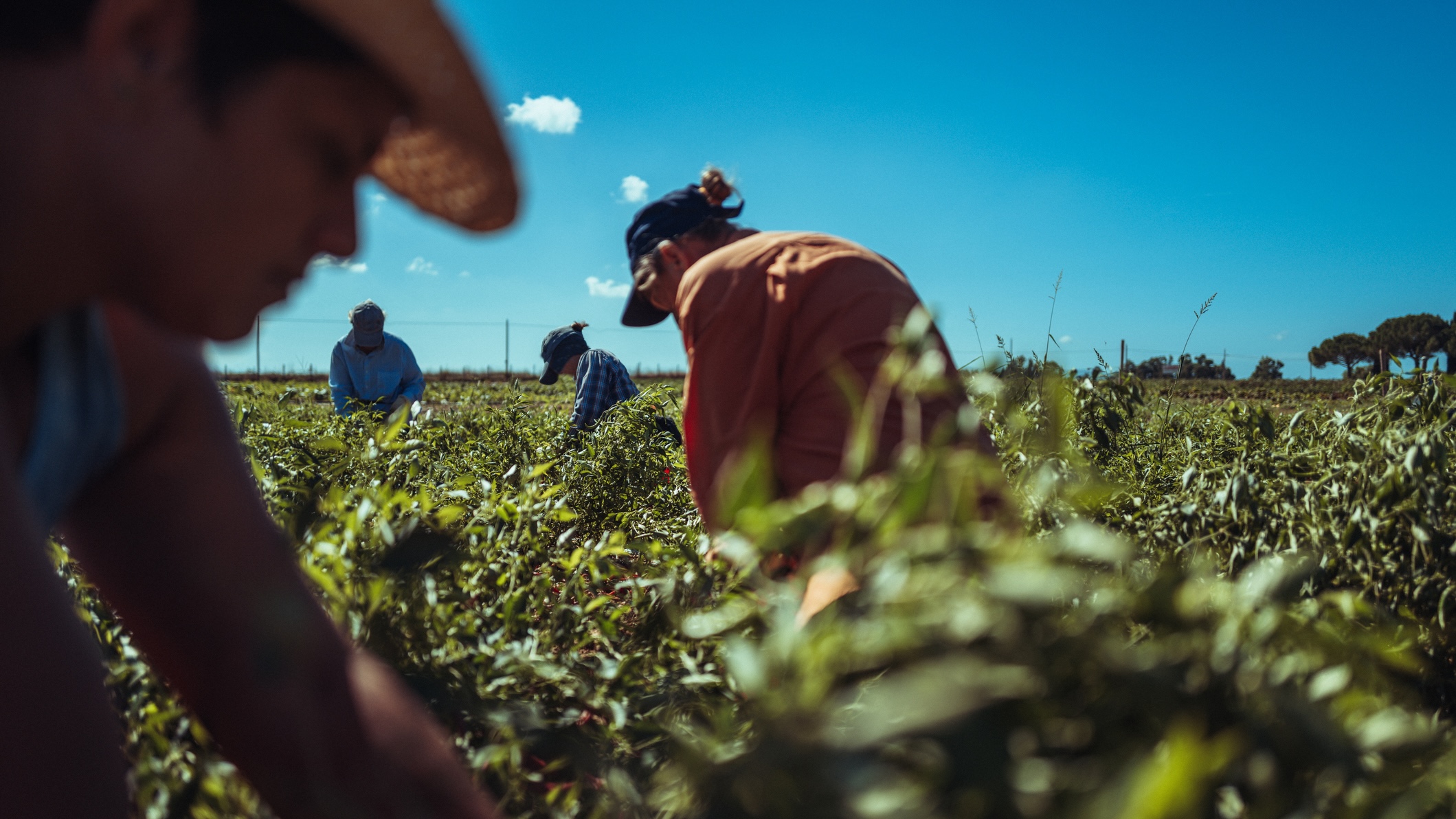 Procurement and Supply Chain: Extreme Weather Readiness Strategies for Sustainability