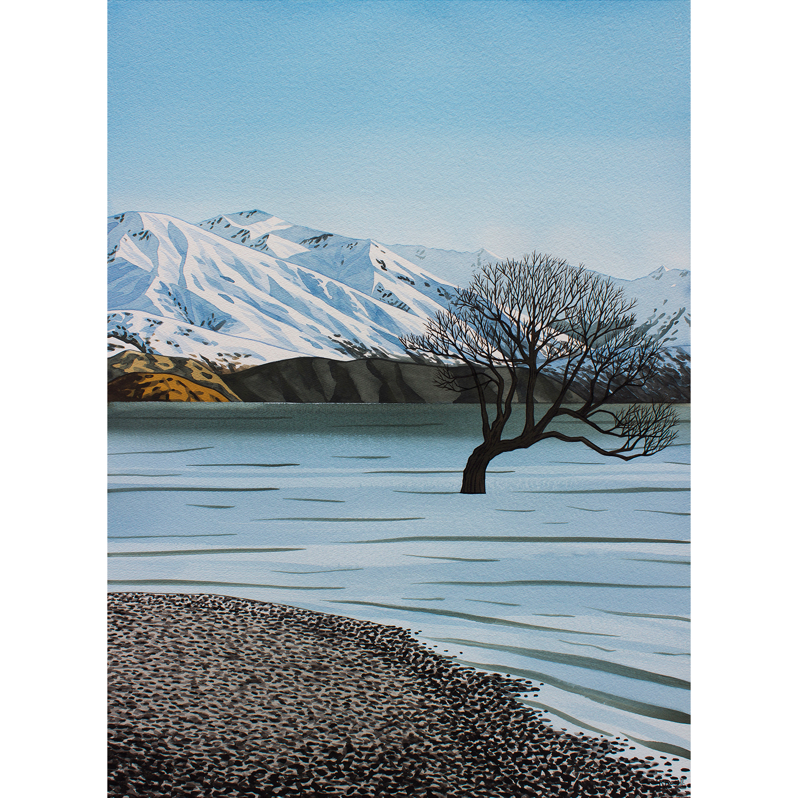 Wanaka Tree Wintertime II