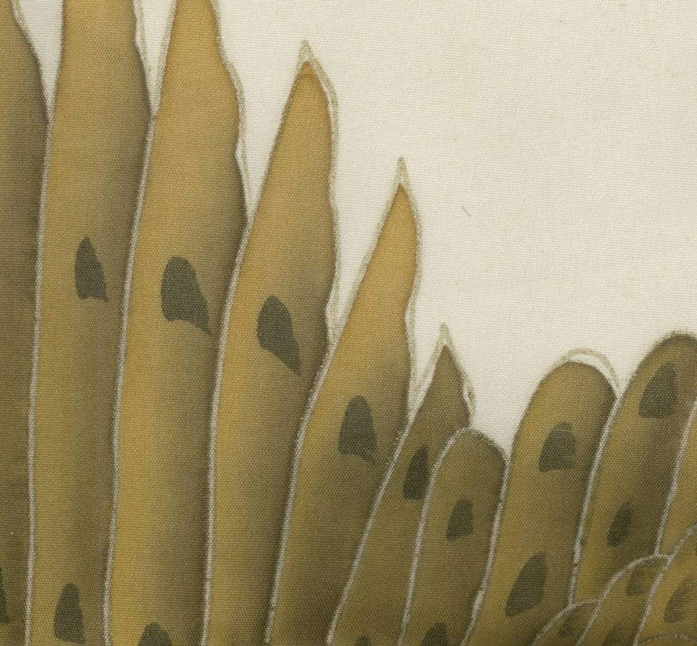 Detailed close-up of butterfly or insect wing with textured patterns