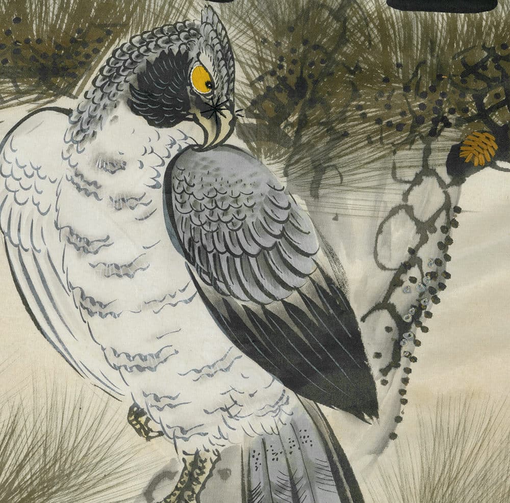 White and gray owl with yellow eye perched among grass and branches