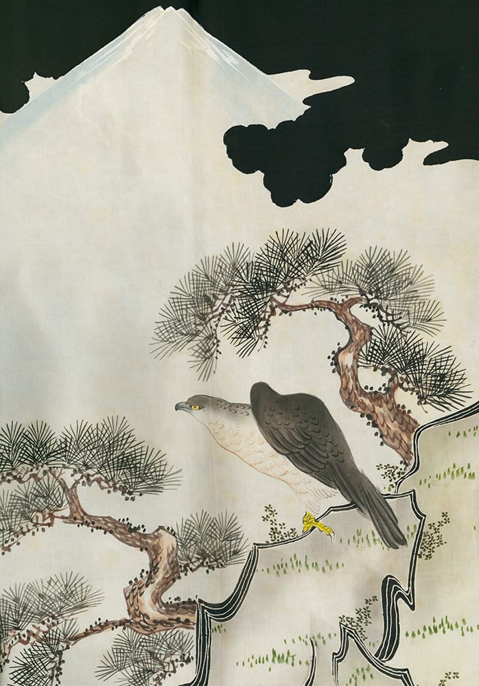 Bird of prey perched on pine branch with Mount Fuji in background