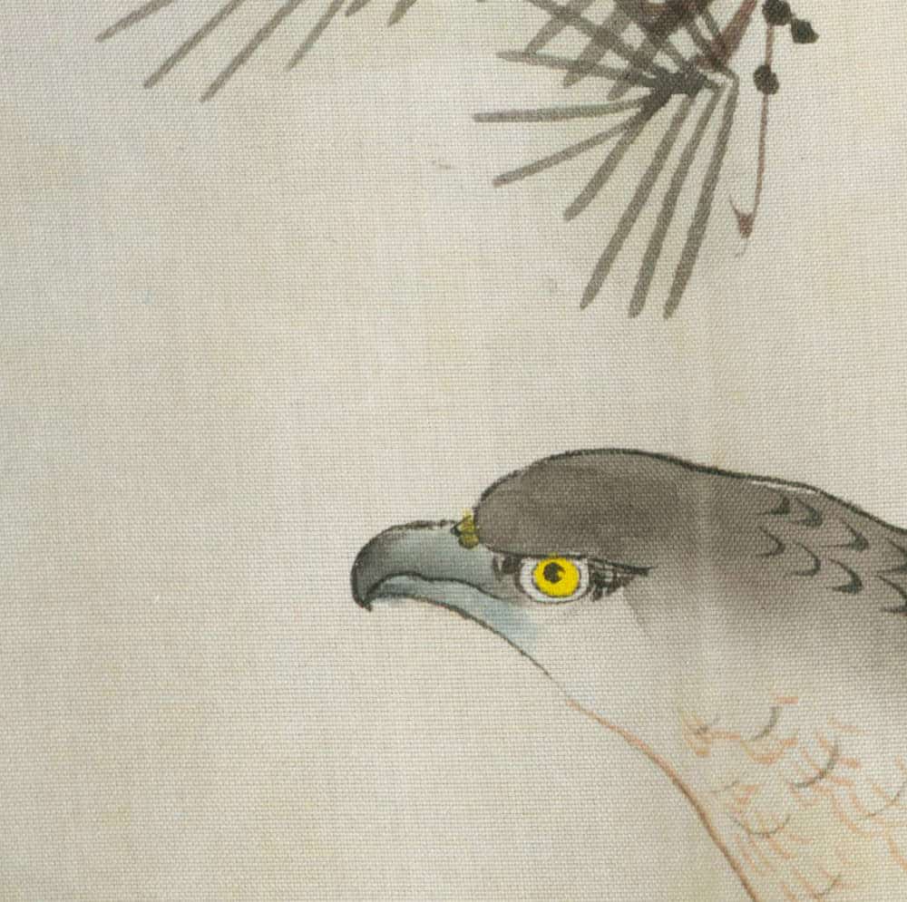 Watercolor painting of a hawk with a piercing yellow eye