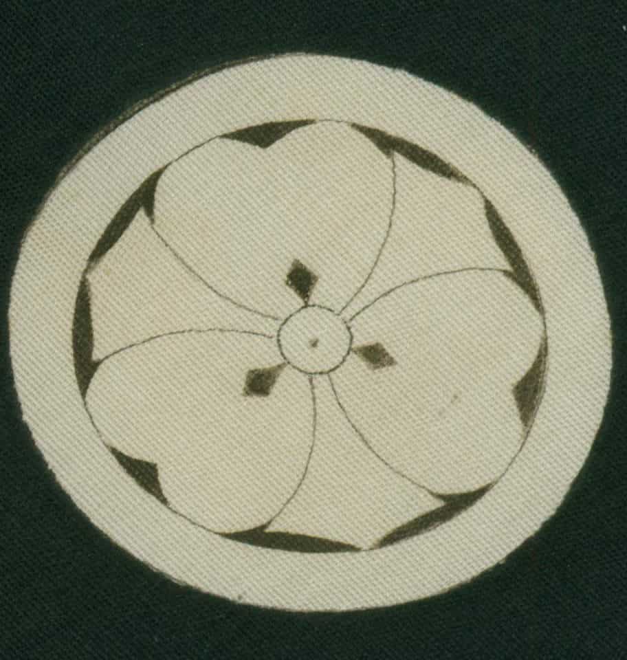 Sliced apple cross-section showing symmetrical seed pattern