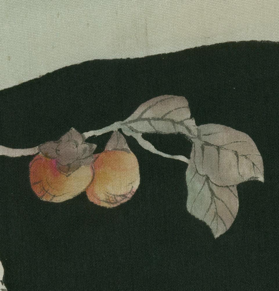 Vintage illustration of ripe peaches with delicate leaves on dark background
