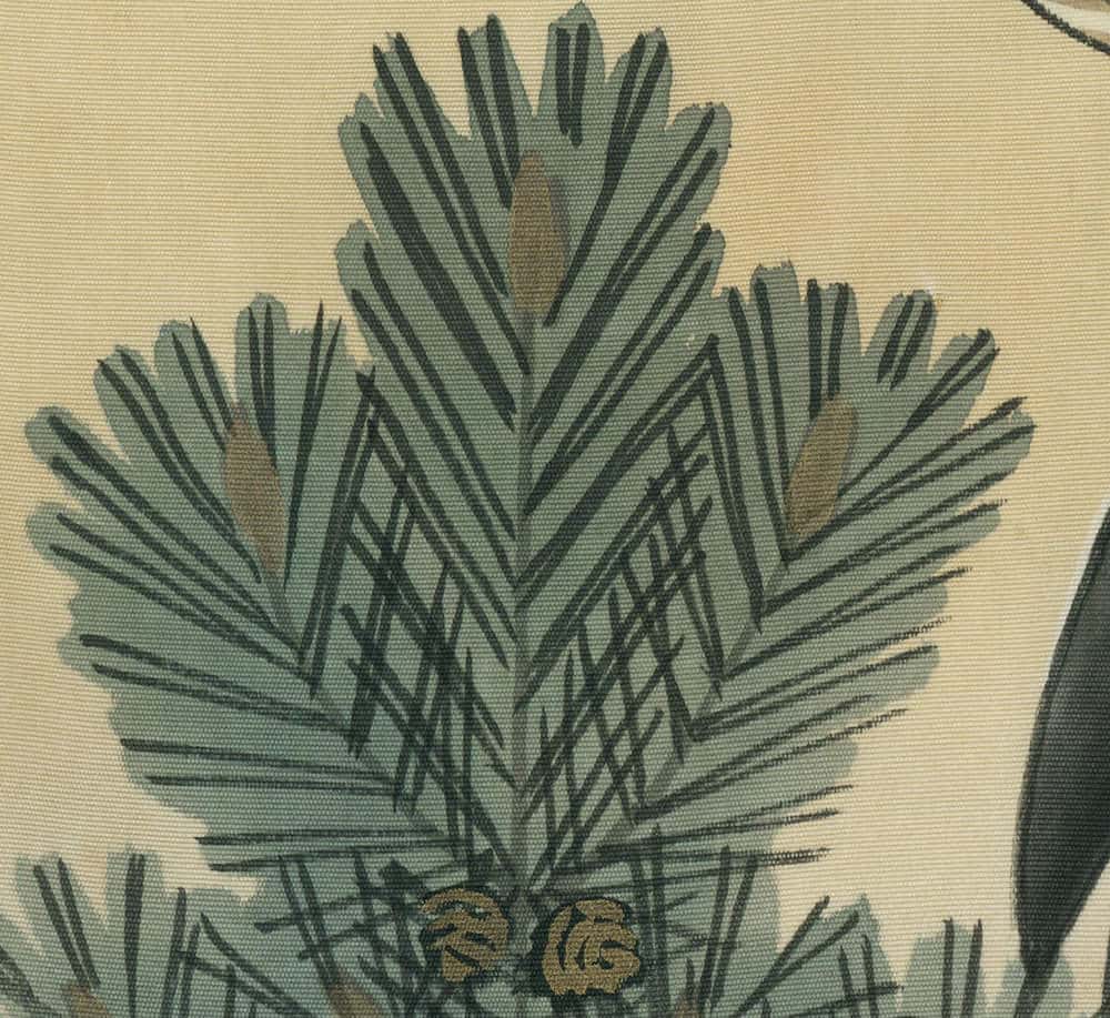 Vintage botanical illustration of a feathery green palm or fern leaf