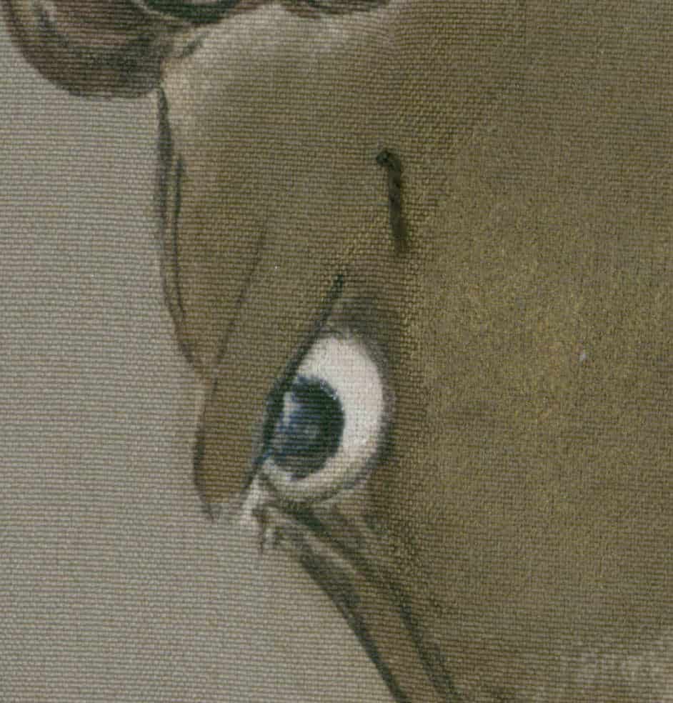 Close-up of an intense blue eye with dramatic shading and texture