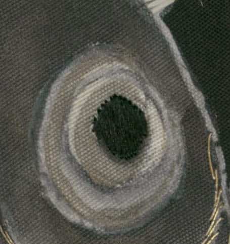 Circular eye-like pattern with textured layers and dark green center