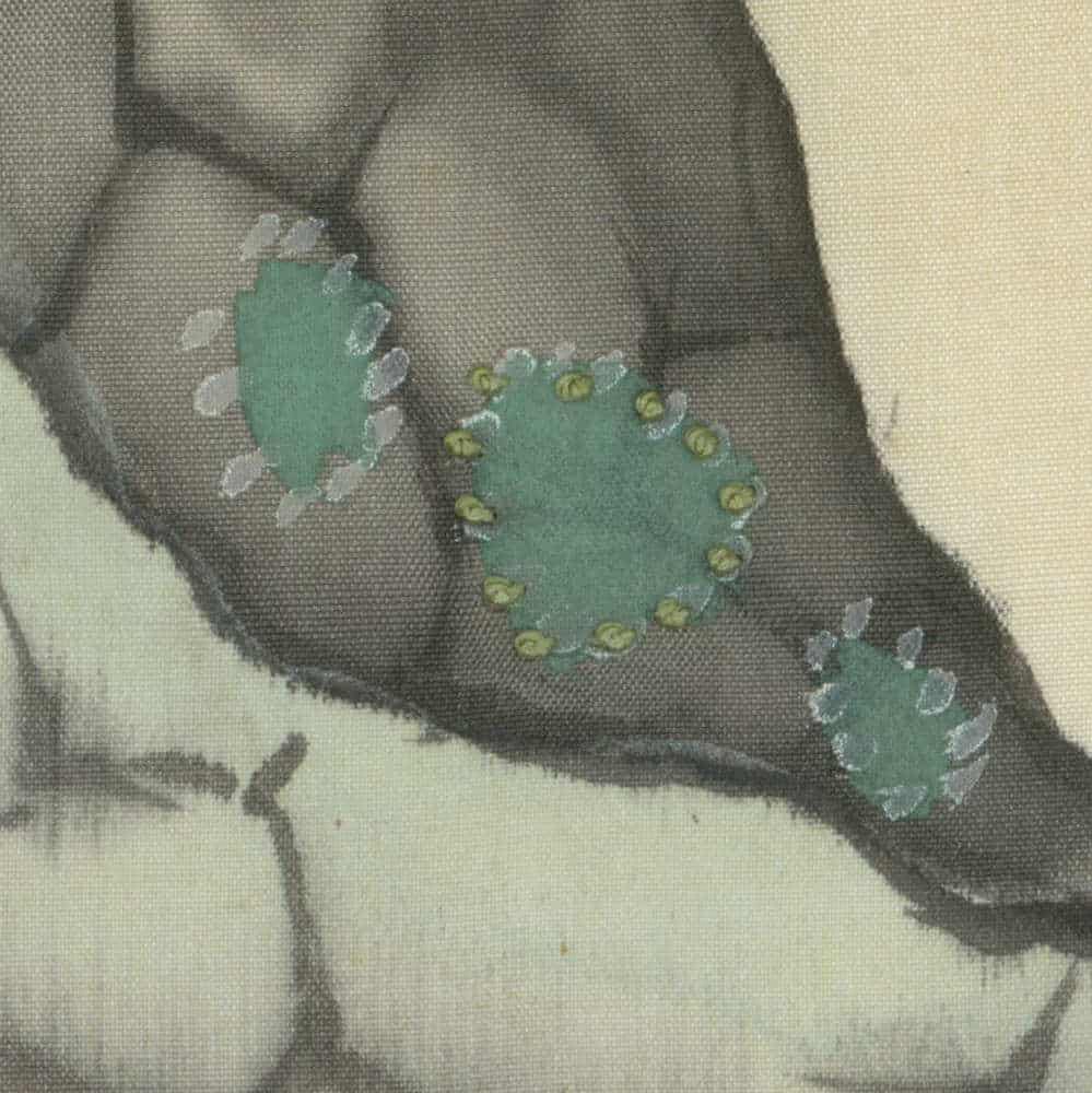 Green cactus with yellow spots on textured gray-white background