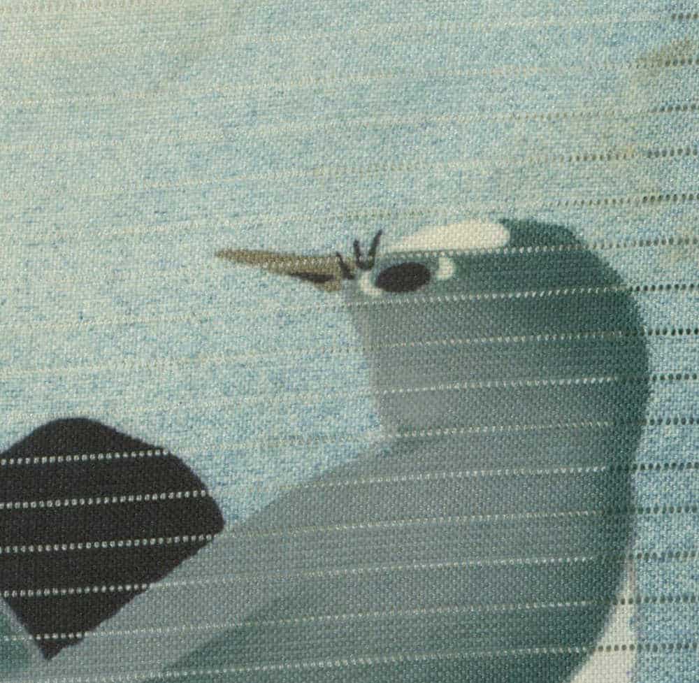 Small insect on textured blue-green fabric with shadows