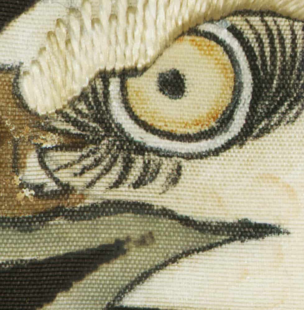 Detailed close-up of an eye with intricate textured patterns