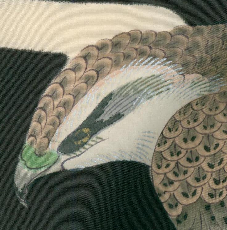 Detailed illustration of a bird of prey with scaled feathers and green eye