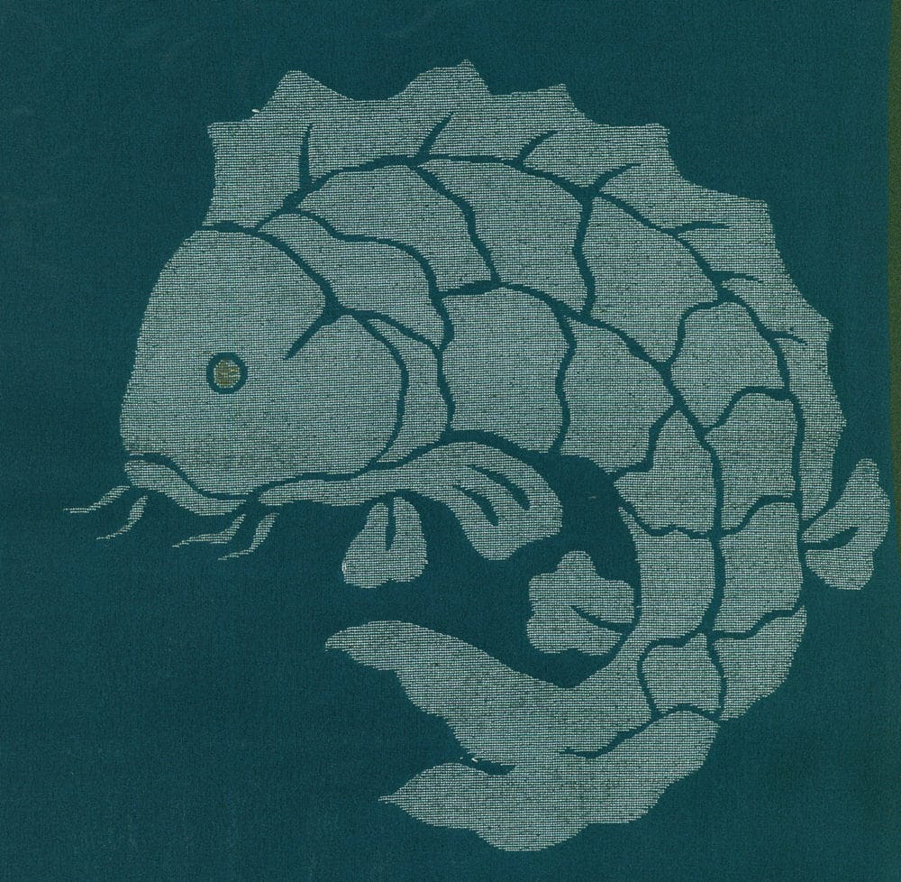 Stylized fish illustration with textured scales on teal background