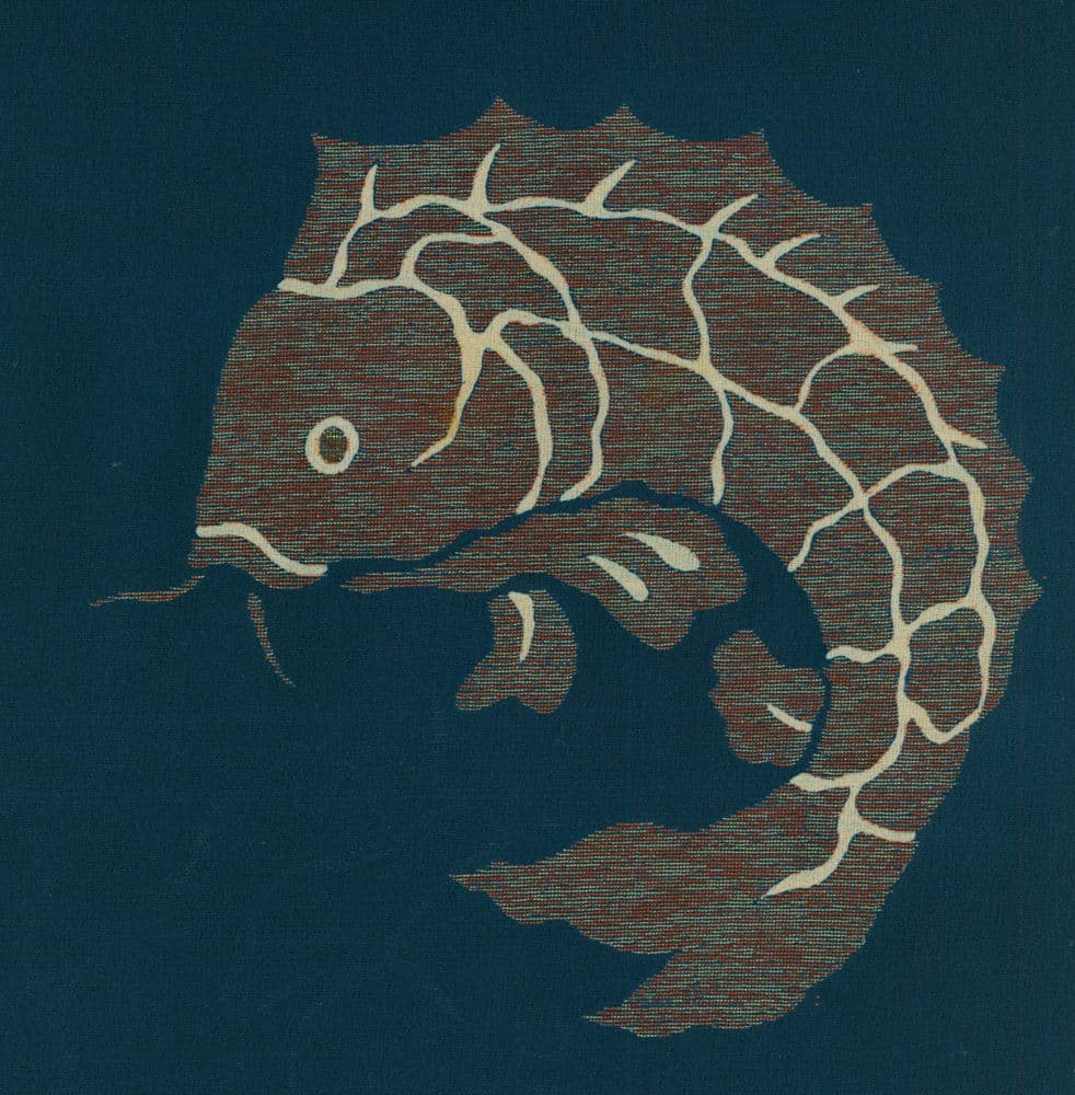 Stylized fish with cracked texture on textured blue-brown background