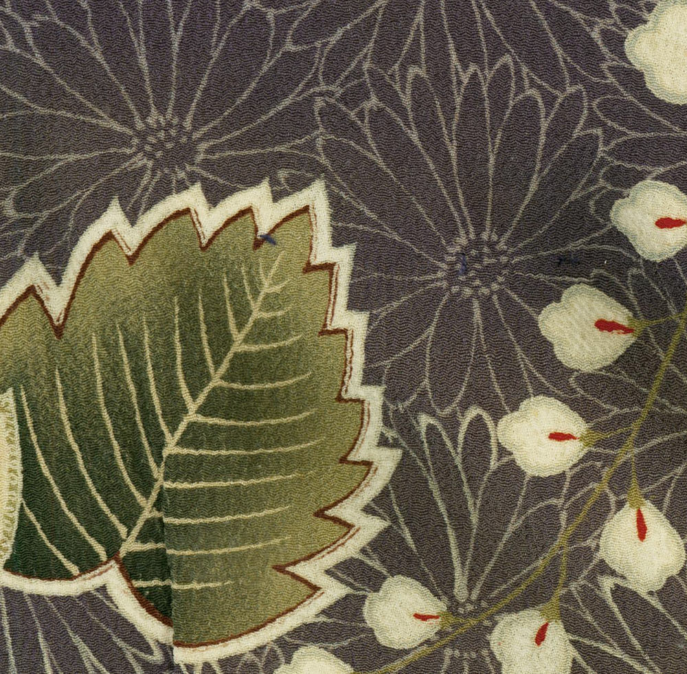 Vintage botanical illustration of green leaf and white flower details