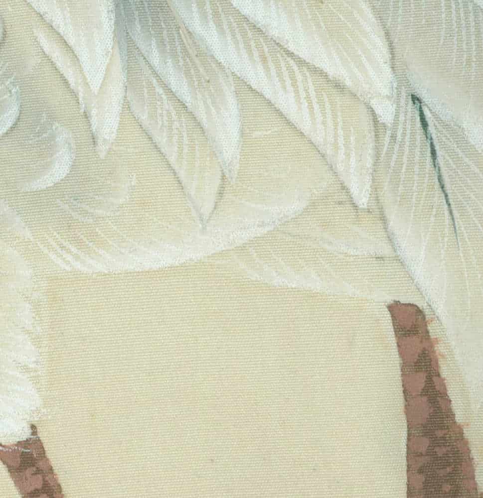 Soft white feathers with delicate texture and light shading