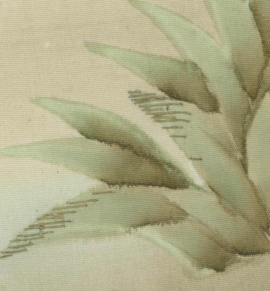 Close-up of soft green succulent plant leaves with textured background