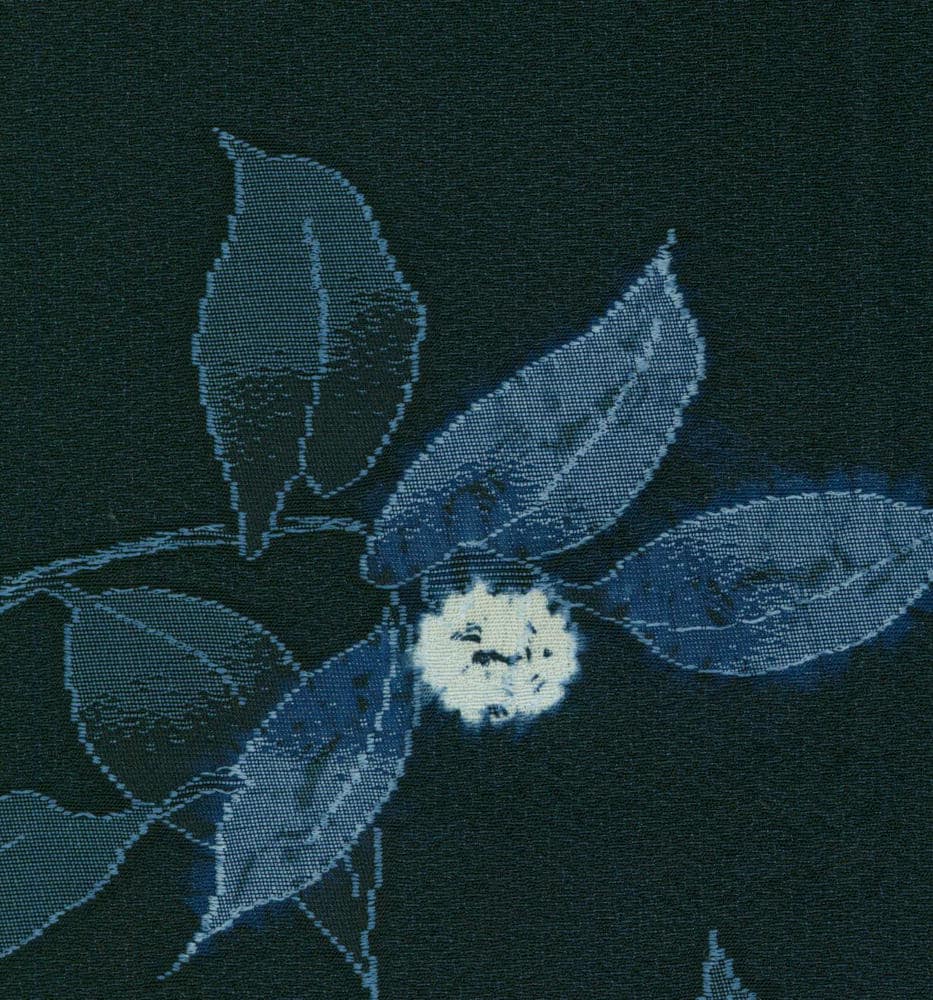Blue botanical cyanotype print of leaves with central flower or seed