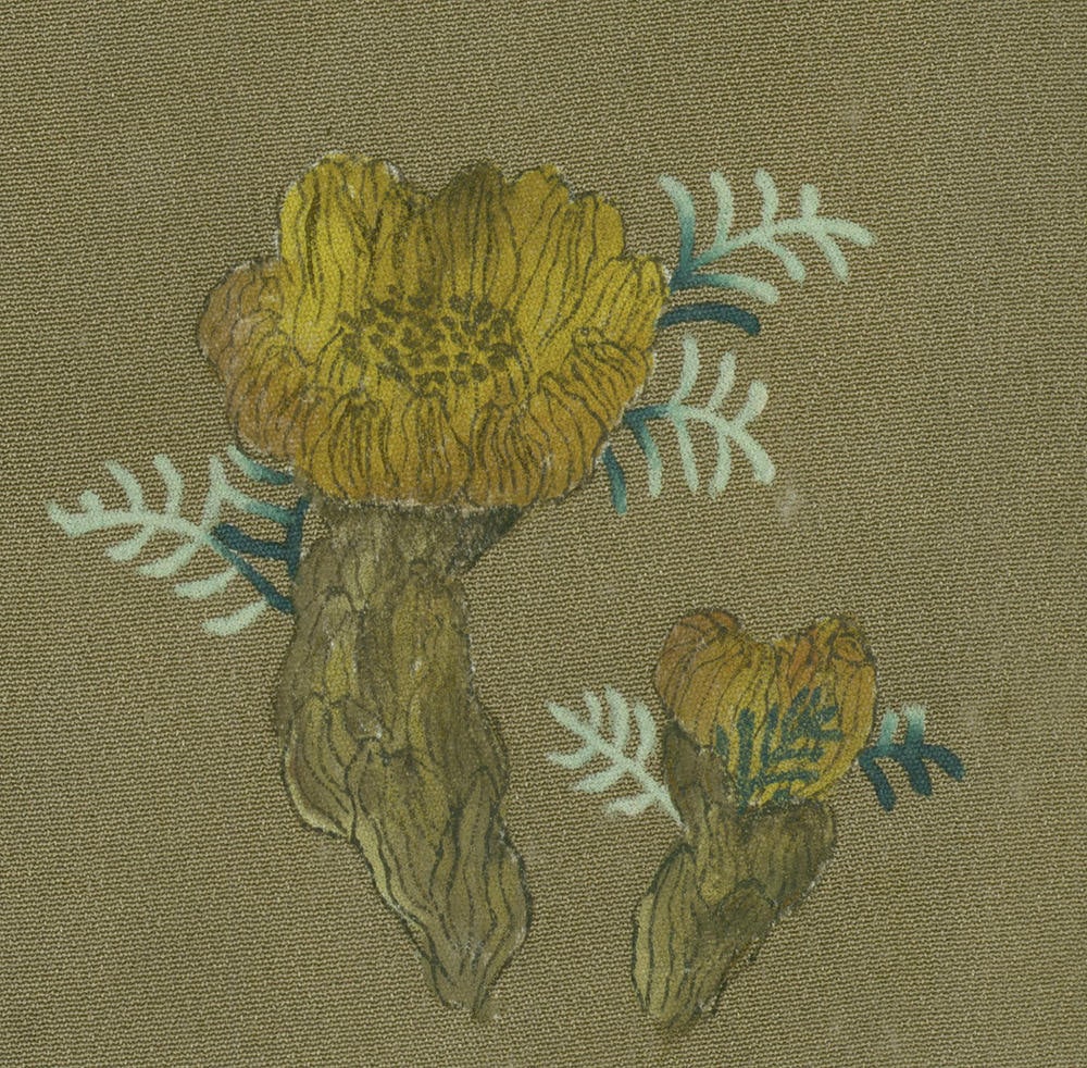 Yellow flowers with delicate blue-green leaves on textured background