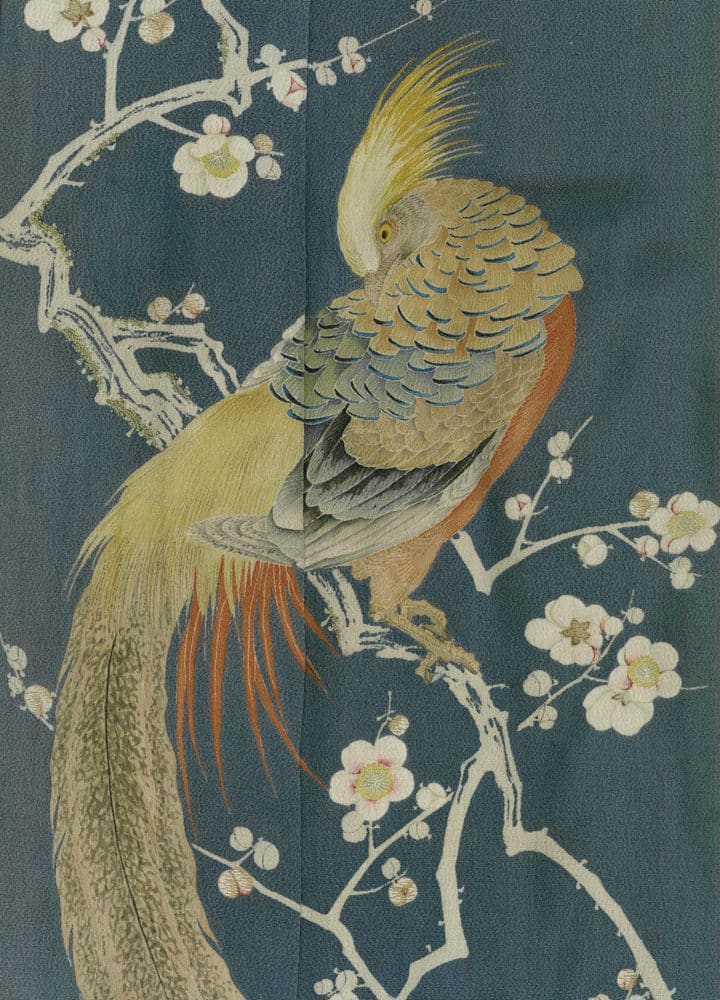 Colorful pheasant perched on branch with white blossoms, traditional Japanese art