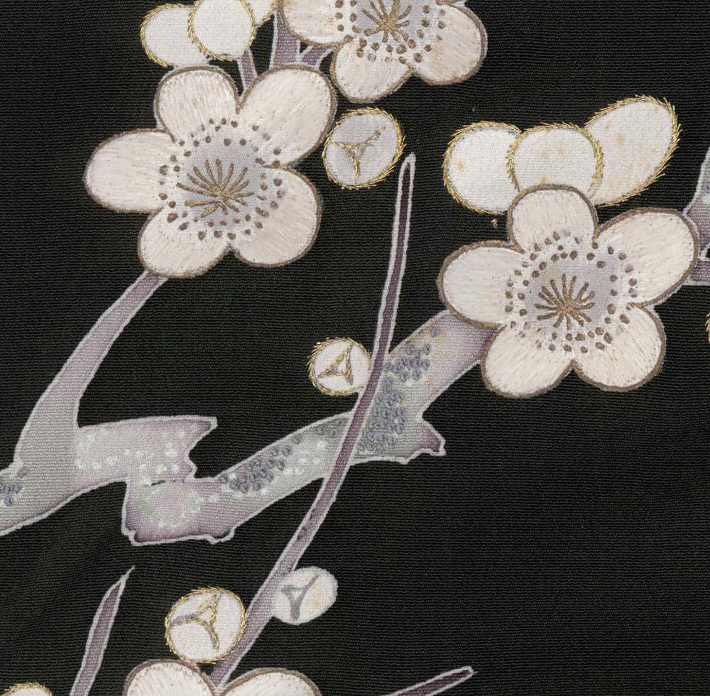 Delicate white cherry blossoms with golden edges on black textile background