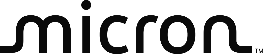 Micron Logo