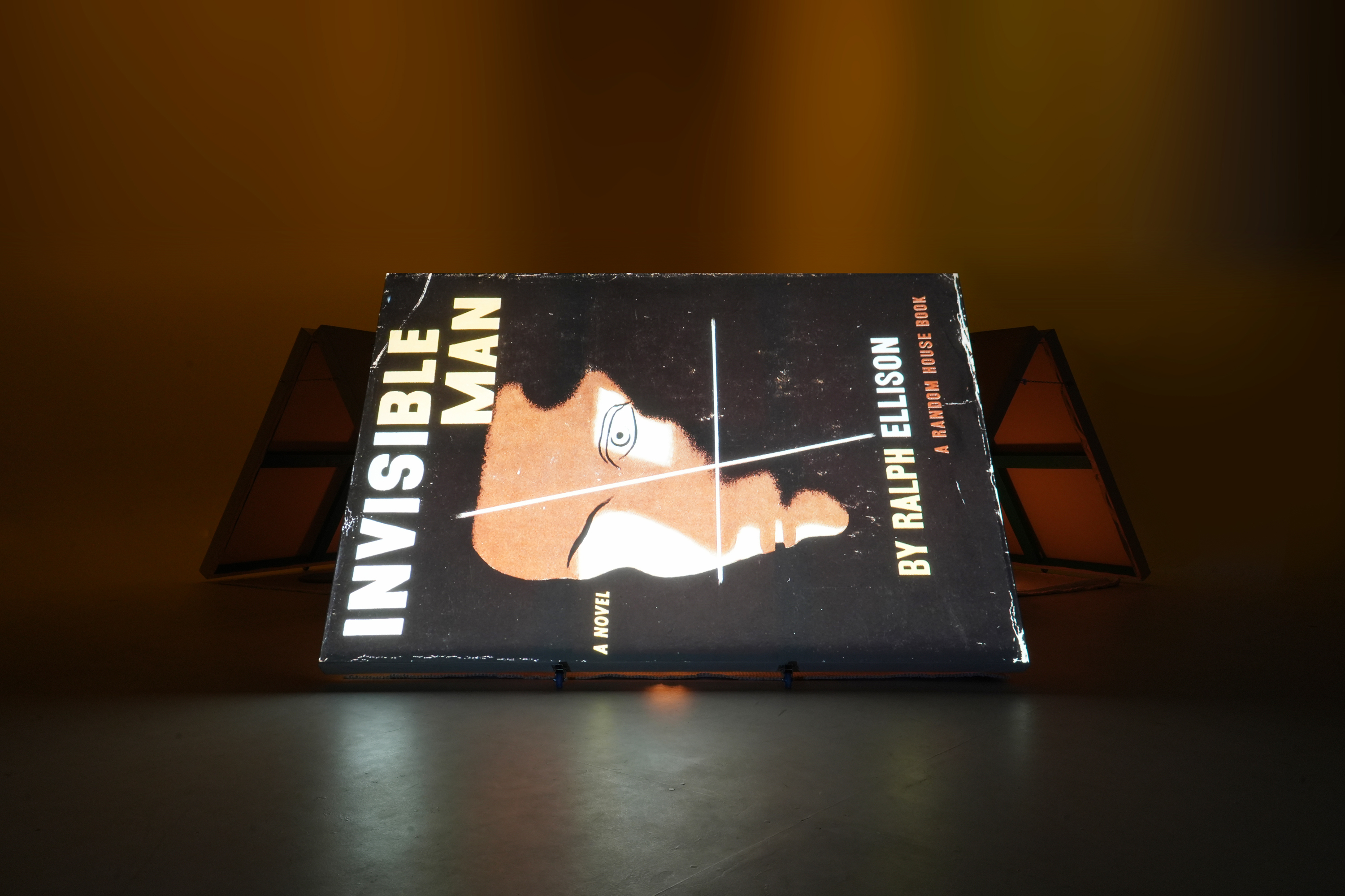 “And sometimes the difference between individual and organized indignation is the difference between criminal and political action.” Ralph Ellison, Invisible Man