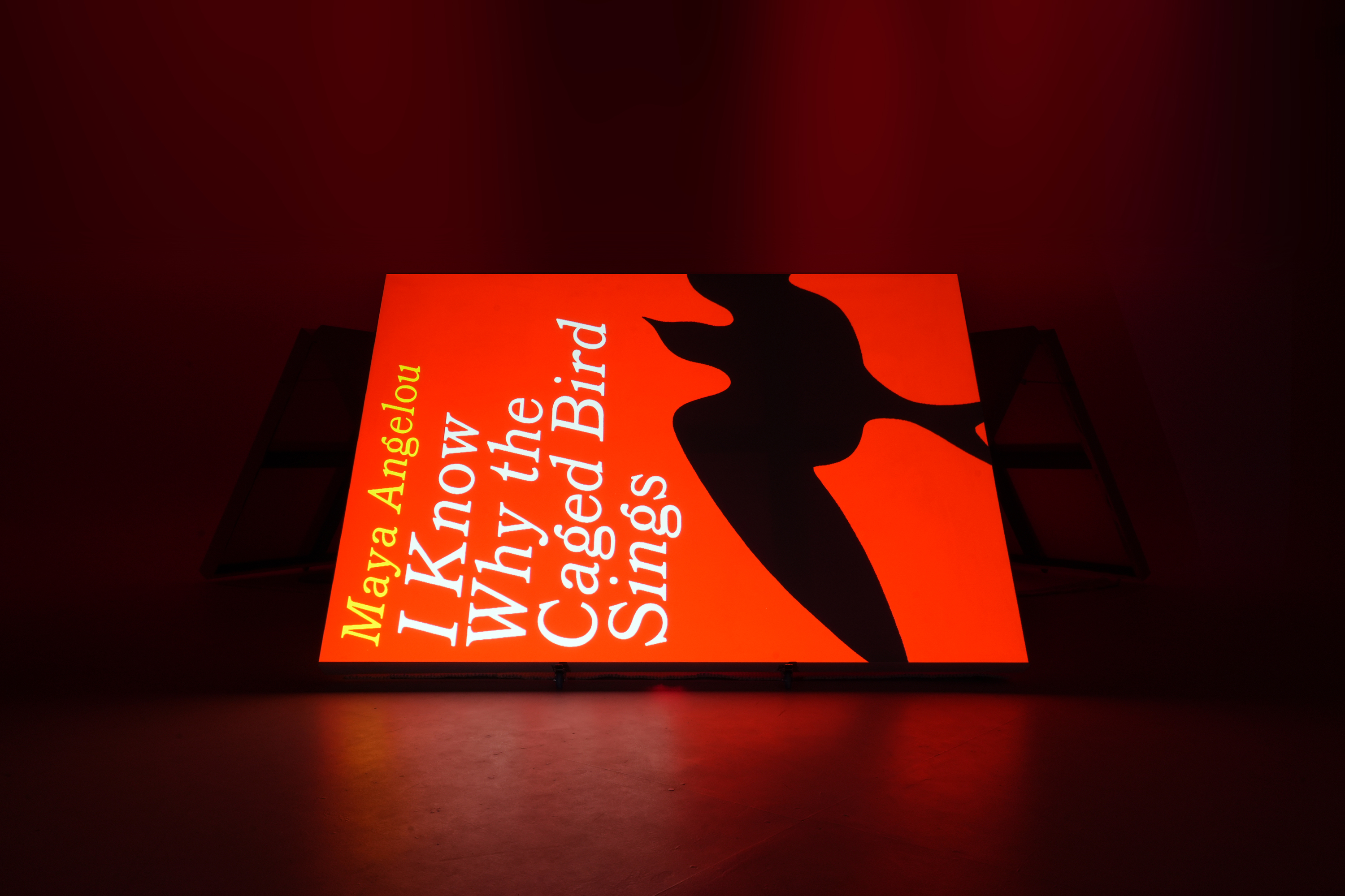 “The caged bird sings with a fearful trill, of things unknown, but longed for still, and his tune is heard on the distant hill, for the caged bird sings of freedom.” Maya Angelou, I Know Why the Caged Bird Sings