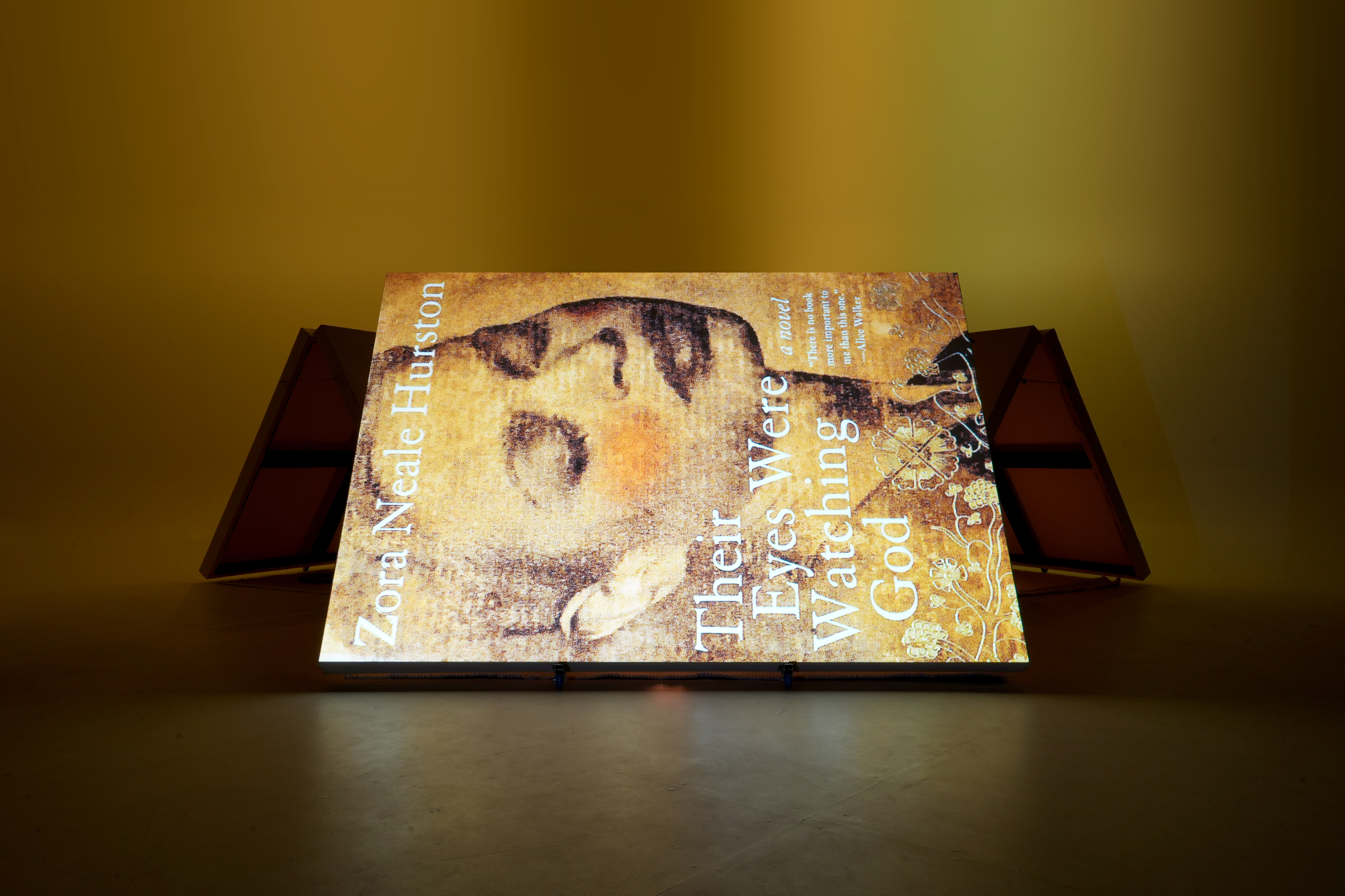 “Some people could look at a mud puddle and see an ocean with ships.” - Zora Neale Hurston, Their Eyes Were Watching God (1937)